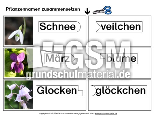 Pflanzennamen-zusammensetzen.pdf